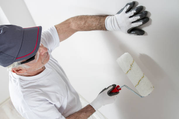 Best Crawl Space Mold Remediation  in Hudson, IL