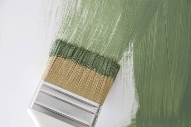 Mold Remediation for Vacation Homes in Hudson, IL