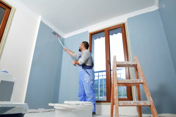 Environmental Consulting for Mold Prevention in Hudson, IL