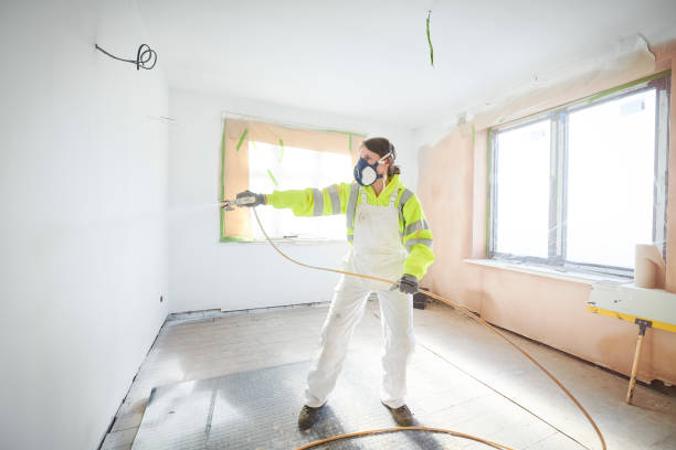 Best Asbestos and Lead Testing During Mold Inspection  in Hudson, IL