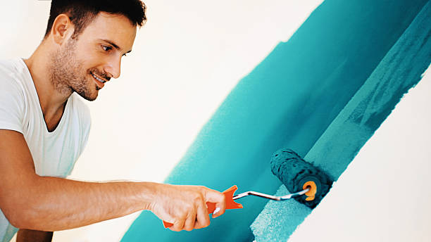 Best Forensic Mold Investigation  in Hudson, IL